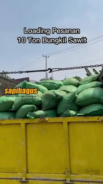 Pesanan-10-Ton-Bungkil-Sawit